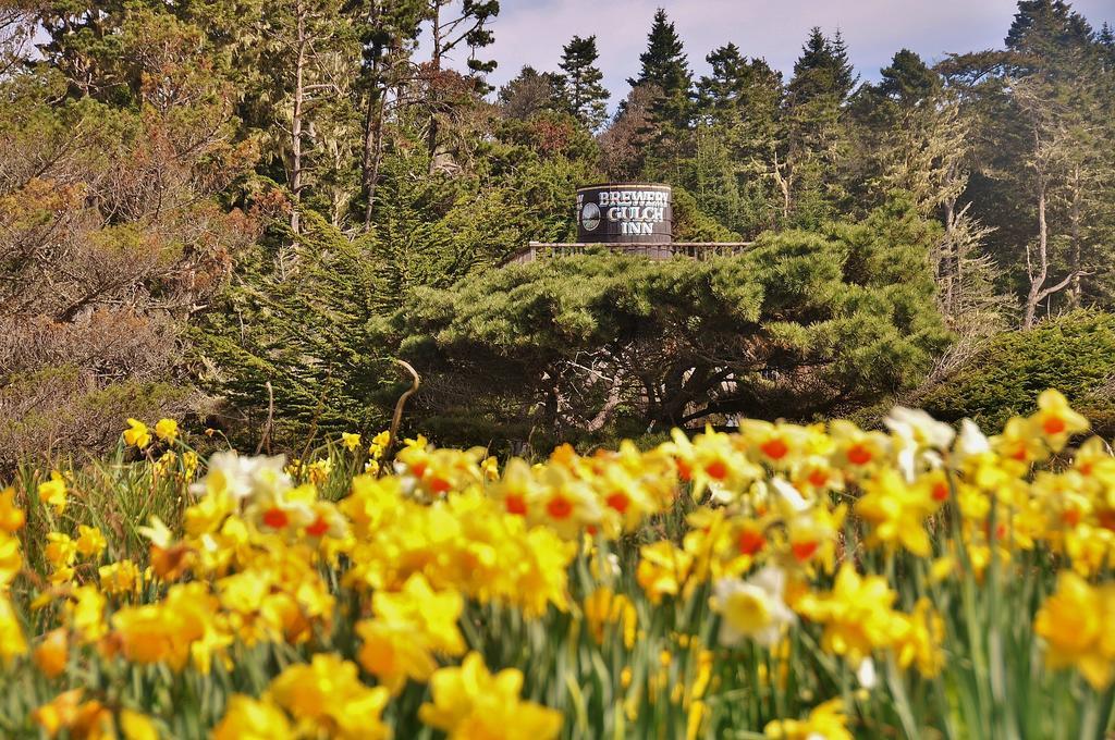 Brewery Gulch Inn & Spa Mendocino Eksteriør bilde